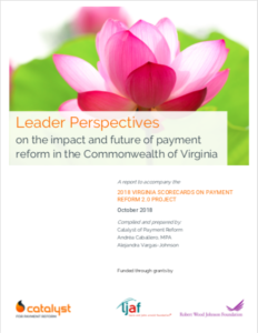 Virginia Health care Perspectives