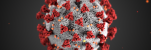 Coronavirus COVID-19