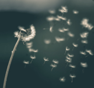Future of Payment Reform: Winds of Change